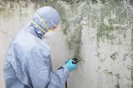 Best Mold Remediation for Healthcare Facilities  in USA